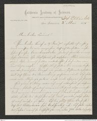 Nachlass Franz Steindachner, Brief von W. Fisher an Franz Steindachner (02.05.1875), Inv.Nr. 133.02, Seite 3